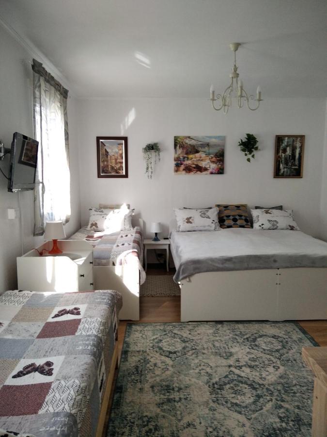 Eco-Lux Apart With Free Bicycles End Free Parking Ljubljana Exterior photo